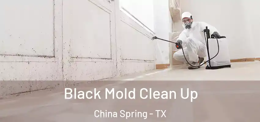 Black Mold Clean Up China Spring - TX