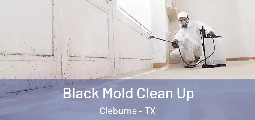  Black Mold Clean Up Cleburne - TX