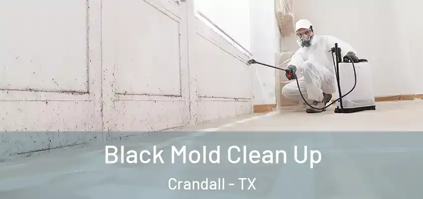 Black Mold Clean Up Crandall - TX