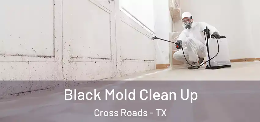 Black Mold Clean Up Cross Roads - TX