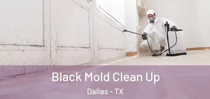 Black Mold Clean Up Dallas - TX
