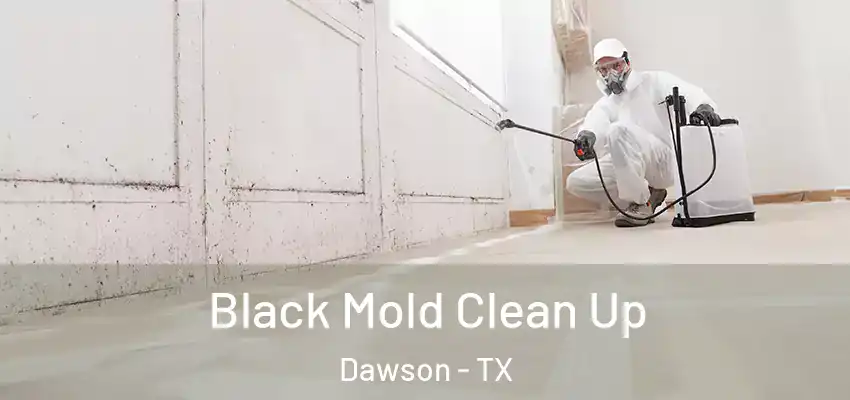  Black Mold Clean Up Dawson - TX