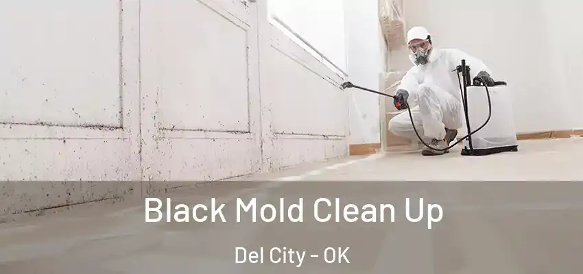  Black Mold Clean Up Del City - OK