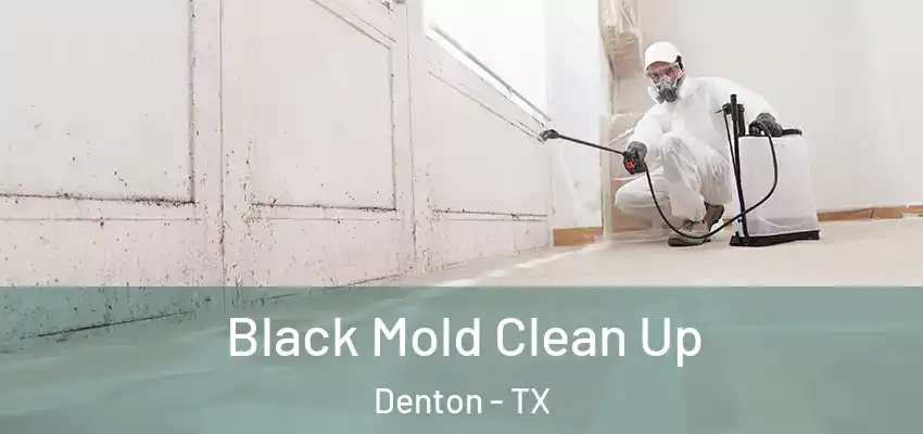  Black Mold Clean Up Denton - TX