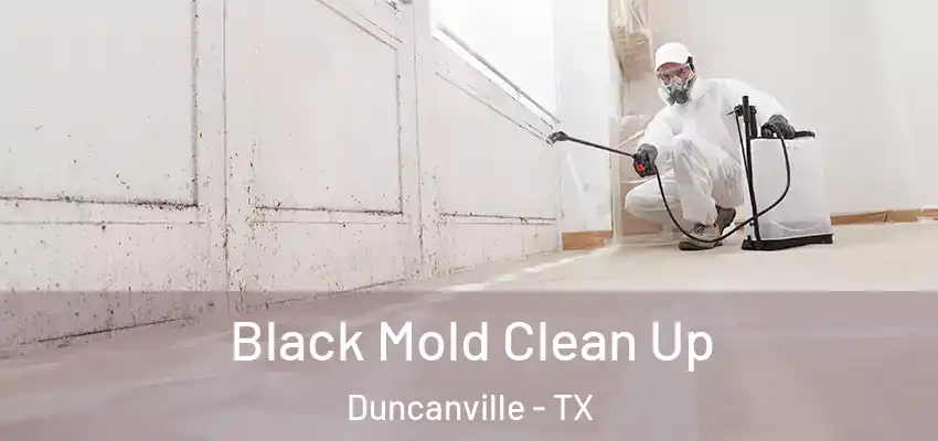  Black Mold Clean Up Duncanville - TX