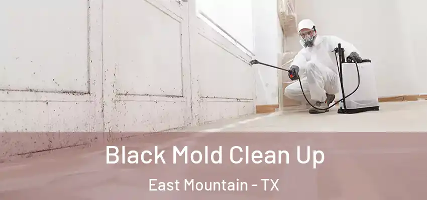  Black Mold Clean Up East Mountain - TX