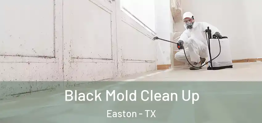 Black Mold Clean Up Easton - TX