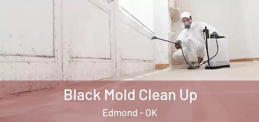 Black Mold Clean Up Edmond - OK