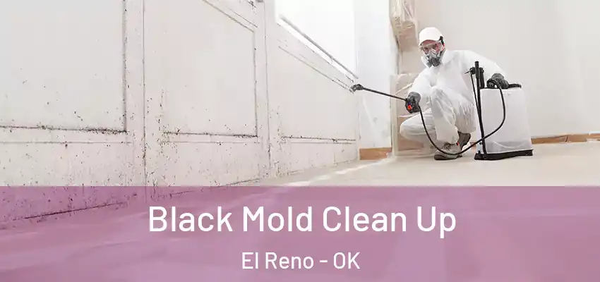  Black Mold Clean Up El Reno - OK