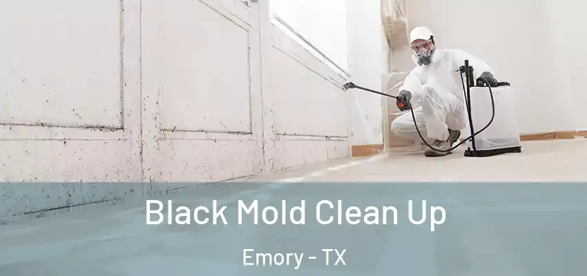  Black Mold Clean Up Emory - TX