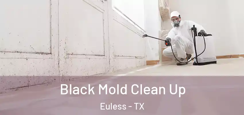 Black Mold Clean Up Euless - TX