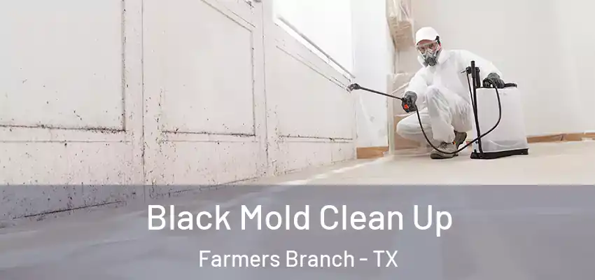  Black Mold Clean Up Farmers Branch - TX