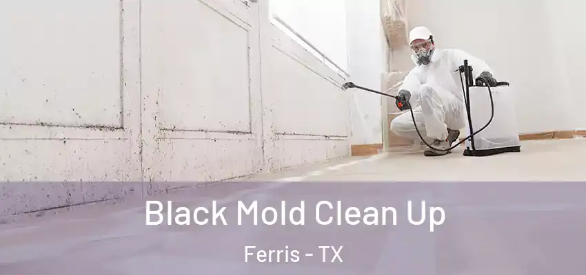  Black Mold Clean Up Ferris - TX