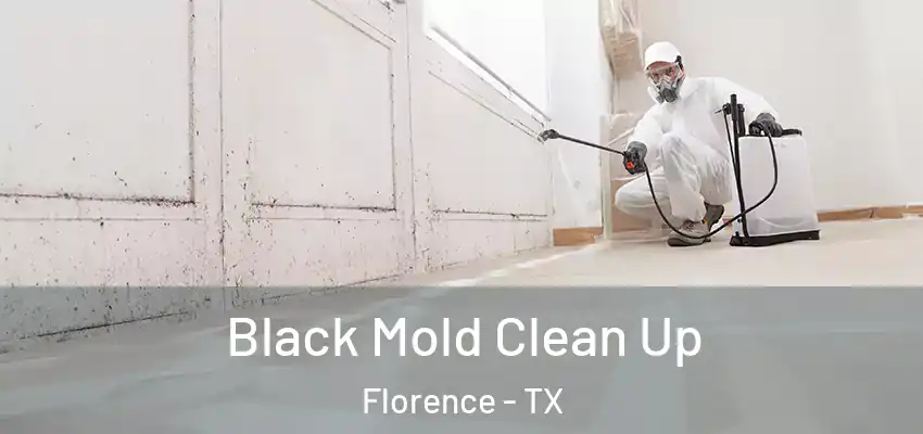  Black Mold Clean Up Florence - TX
