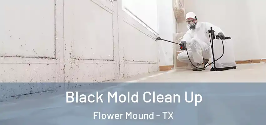 Black Mold Clean Up Flower Mound - TX