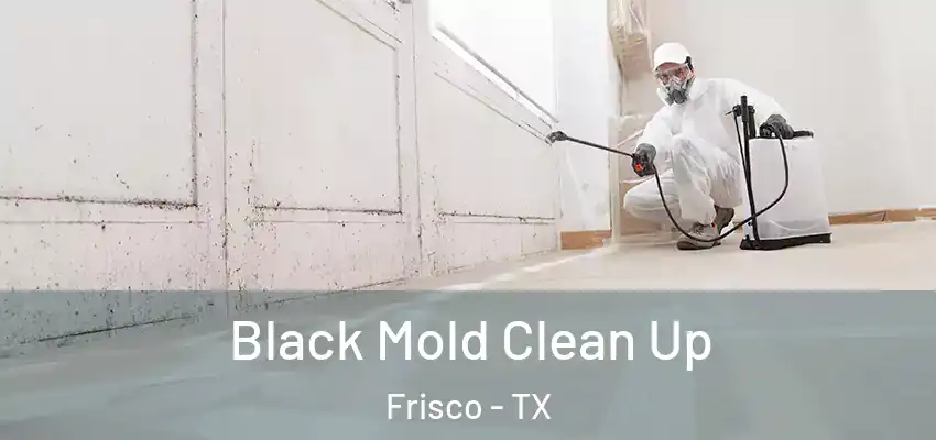 Black Mold Clean Up Frisco - TX