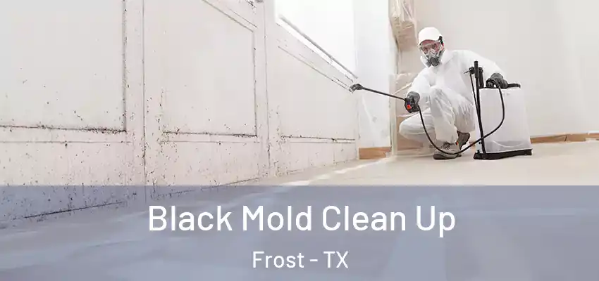  Black Mold Clean Up Frost - TX