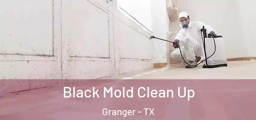  Black Mold Clean Up Granger - TX