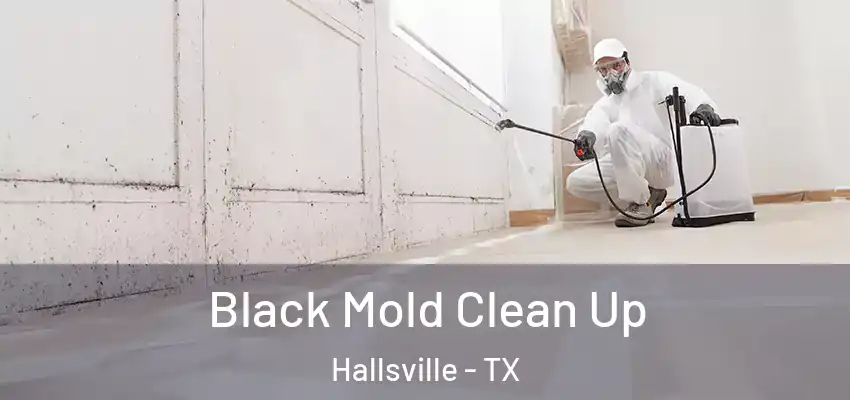  Black Mold Clean Up Hallsville - TX