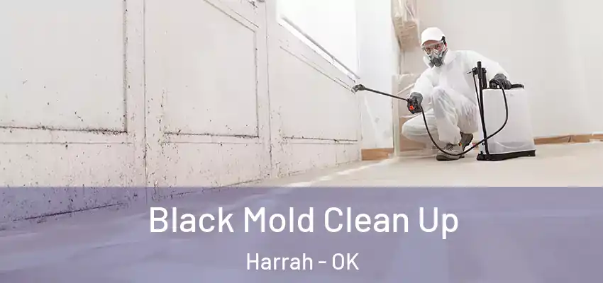  Black Mold Clean Up Harrah - OK
