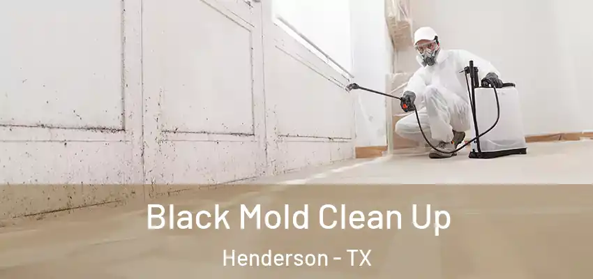  Black Mold Clean Up Henderson - TX