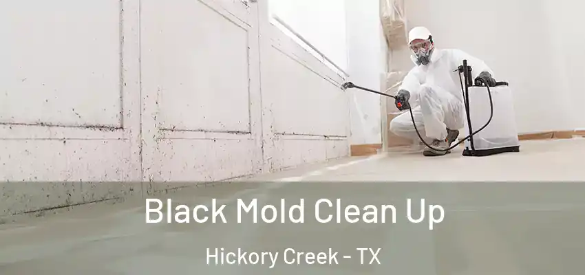  Black Mold Clean Up Hickory Creek - TX
