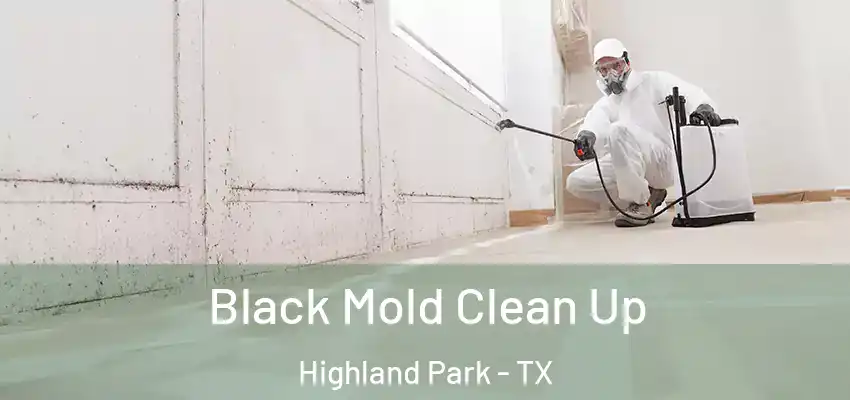 Black Mold Clean Up Highland Park - TX