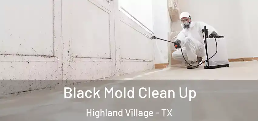 Black Mold Clean Up Highland Village - TX