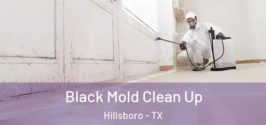  Black Mold Clean Up Hillsboro - TX