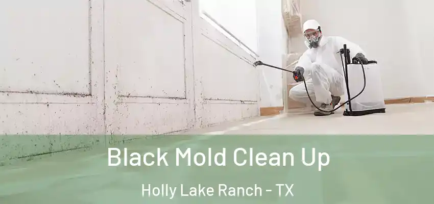 Black Mold Clean Up Holly Lake Ranch - TX
