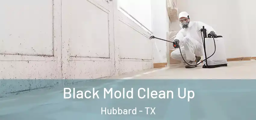  Black Mold Clean Up Hubbard - TX