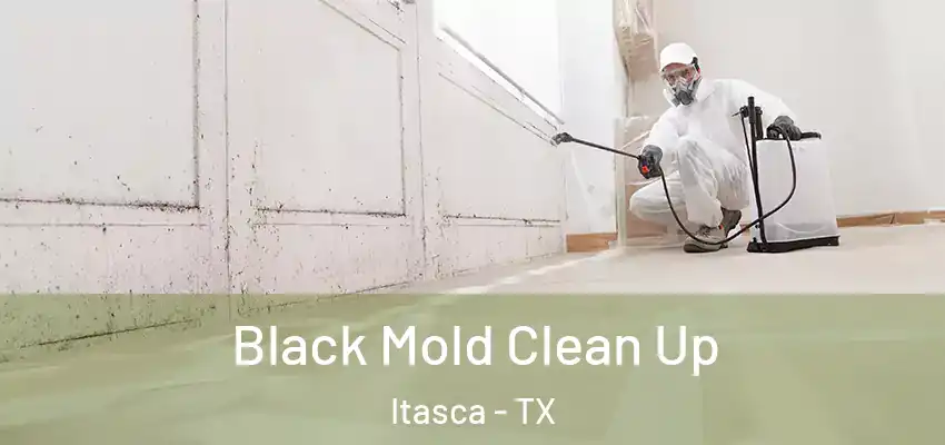  Black Mold Clean Up Itasca - TX