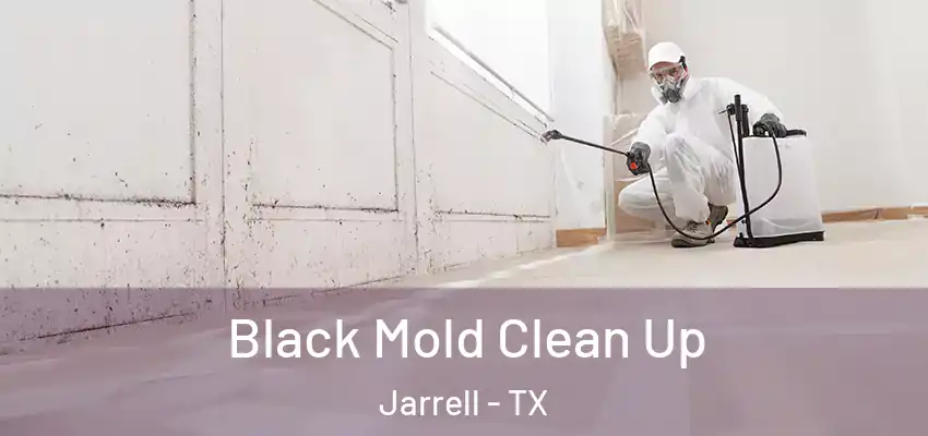  Black Mold Clean Up Jarrell - TX