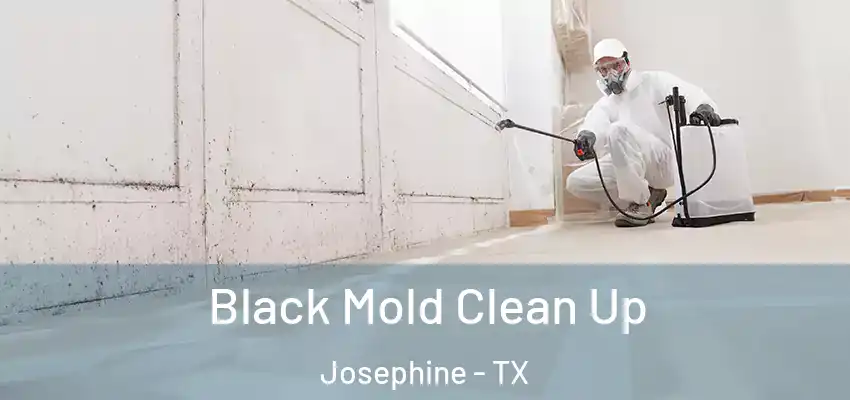 Black Mold Clean Up Josephine - TX