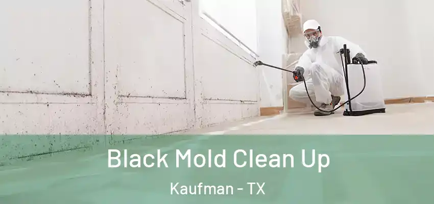 Black Mold Clean Up Kaufman - TX