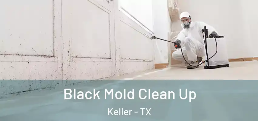  Black Mold Clean Up Keller - TX