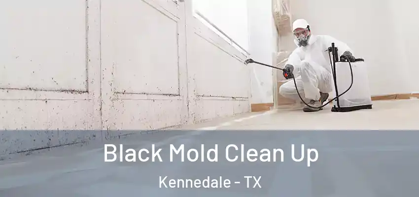 Black Mold Clean Up Kennedale - TX