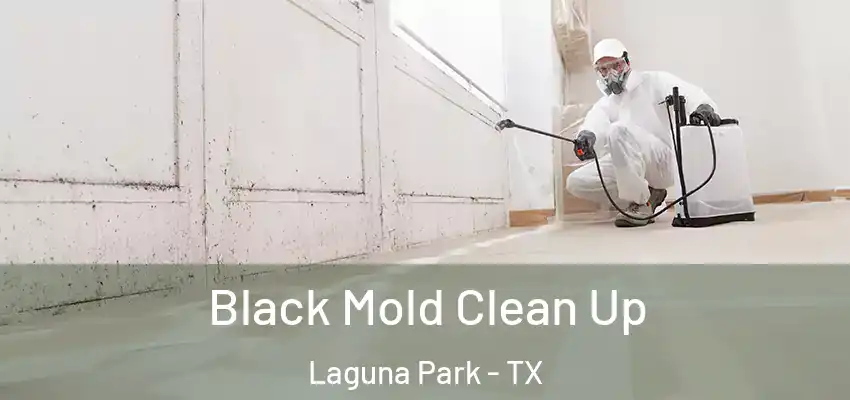 Black Mold Clean Up Laguna Park - TX
