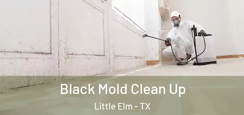  Black Mold Clean Up Little Elm - TX