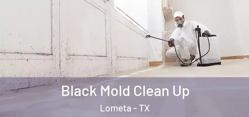  Black Mold Clean Up Lometa - TX