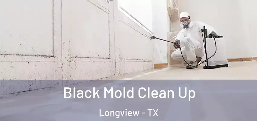  Black Mold Clean Up Longview - TX