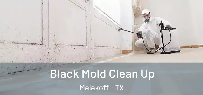 Black Mold Clean Up Malakoff - TX
