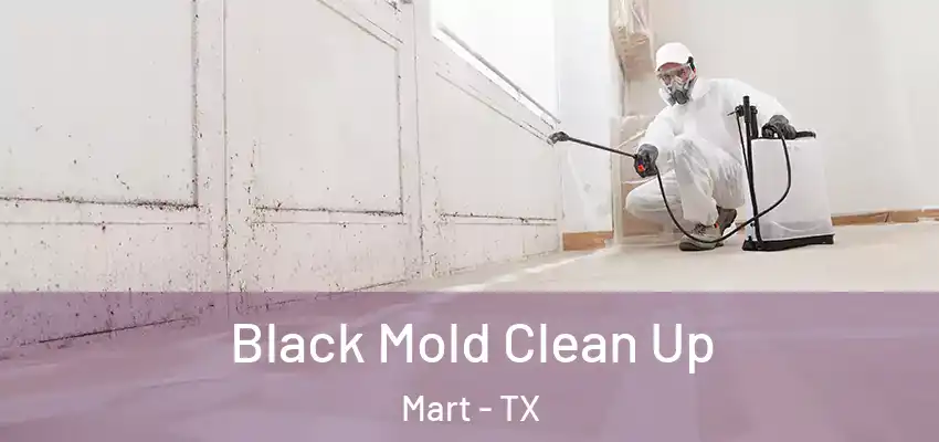 Black Mold Clean Up Mart - TX