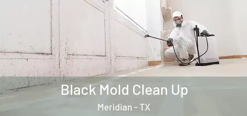 Black Mold Clean Up Meridian - TX
