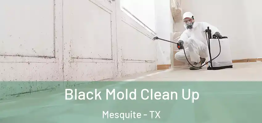  Black Mold Clean Up Mesquite - TX