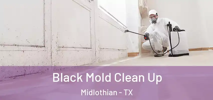 Black Mold Clean Up Midlothian - TX