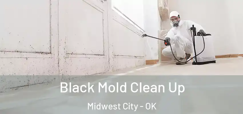  Black Mold Clean Up Midwest City - OK