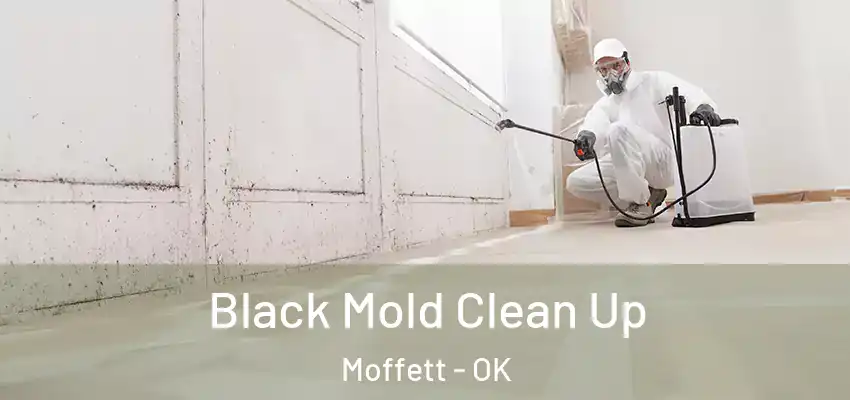  Black Mold Clean Up Moffett - OK