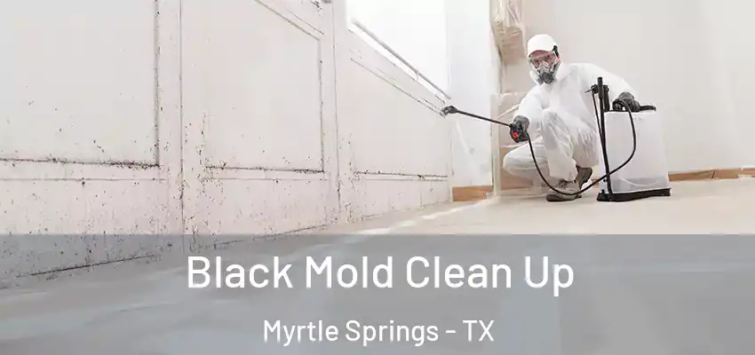  Black Mold Clean Up Myrtle Springs - TX