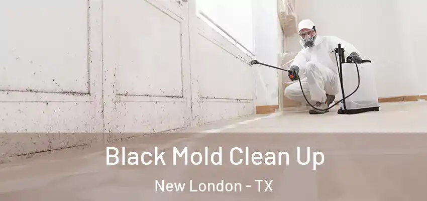  Black Mold Clean Up New London - TX